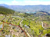 Tire Pınar Emlak tan Satılık İncir Ve Zeytin Bahçesi