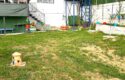 Tire Pınar Emlak tan Satılık Köy Evi