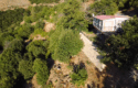 İzmir Tire nin Kalbinin Attığı Tek Yer