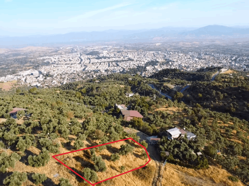 İzmir Tire Kaplan da Satılık Kupon Bahçe