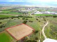 Tire Pınar Emlak tan Satılık Yatırıma Uygun Bahçe