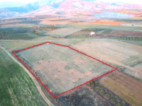 Tire Pınar Emlak tan Satılık Tarım Arazisi