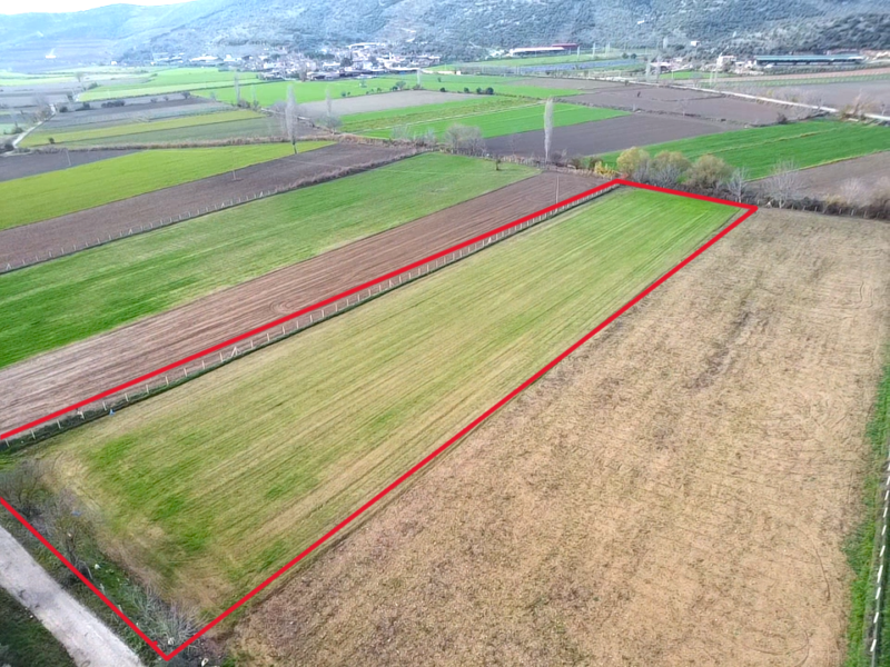 İzmir Tire de Yatırımınız Olsun