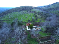 İzmir Tire de Hayatınızı Değiştirecek 34.000 M2 Bahçe