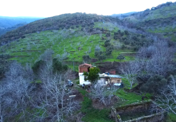 İzmir Tire de Hayatınızı Değiştirecek 34.000 M2 Bahçe