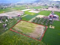 İzmir Bayındır Buruncuk ta Satılık Tarla