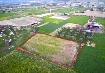 İzmir Bayındır Buruncuk ta Satılık Tarla