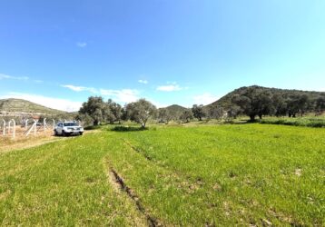 Tire Pınar Emlak tan Satılık Arazi