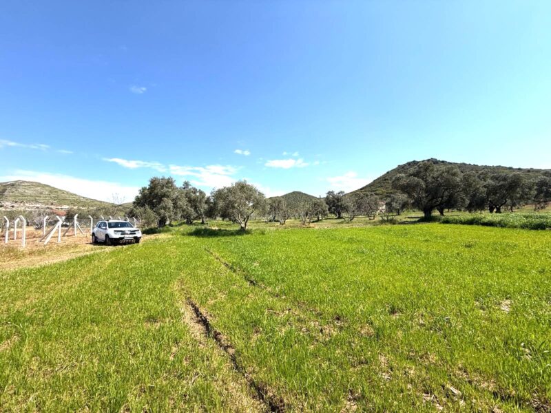 Tire Pınar Emlak tan Satılık Arazi