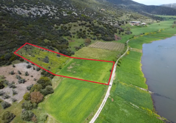 İzmir Tire nin En Uygun Satılık Tarlası