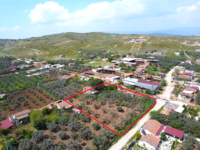 Tire Yenioba Köyünde Süper Satılık Bir Yer