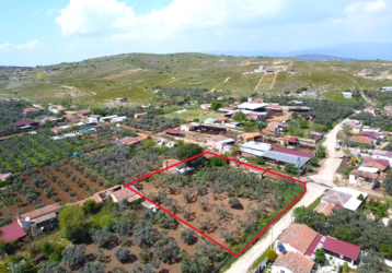 Tire Yenioba Köyünde Süper Satılık Bir Yer